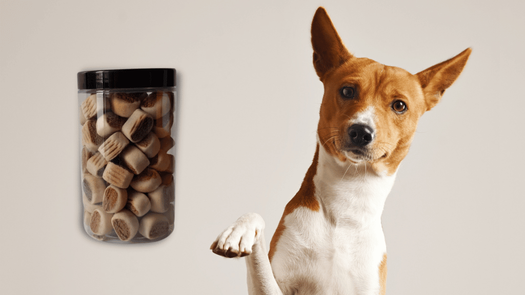 CBD Snack Mix for Dogs