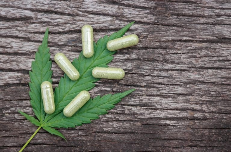 Explore the crucial interactions between CBD and beta blockers, learn about the combination&#39;s effects on blood pressure and heart rate, and learn how to carefully manage this combination to avoid health risks. Medical consultation recommended. 