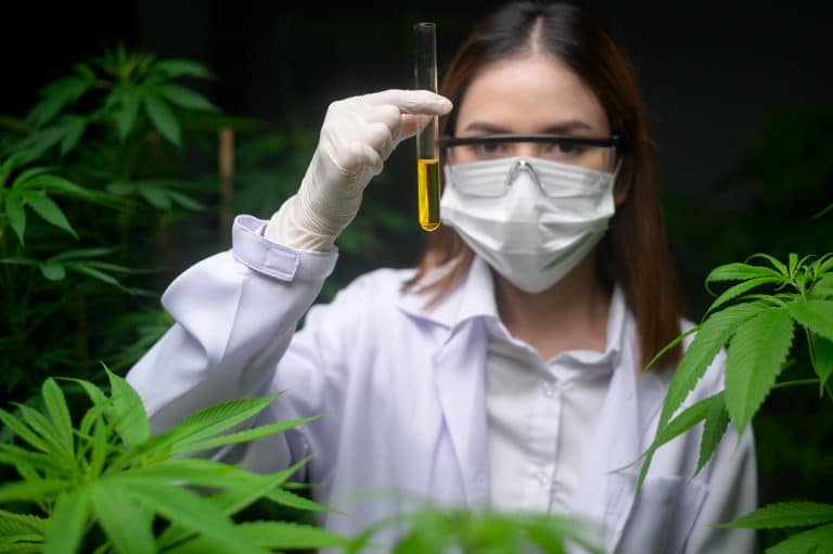 The Scientifically Proven Health Benefits of CBD: Relaxation, Pain, Epilepsy and More