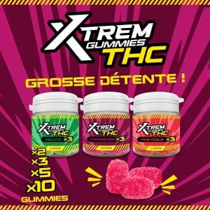 Gomitas THC Xtrem 5mg 10 piezas: Mojito, Sandía o Frambuesa