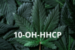 Erfahren Sie alles, was Sie über 10-OH-HHCP, ein Hydroxy-Derivat von HHCP, wissen müssen. Erfahren Sie, wie es entsteht, welche Wirkung es hat, welche potenziellen Risiken es hat und wie es im Vergleich zu anderen Cannabinoiden wie 10-OH-HHC abschneidet.