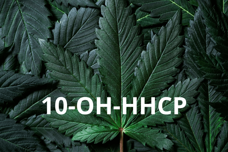 Find ud af alt, hvad du behøver at vide om 10-OH-HHCP, et hydroxyderivat af HHCP. Lær, hvordan det er dannet, dets virkninger, dets potentielle risici, og hvordan det kan sammenlignes med andre cannabinoider som 10-OH-HHC.